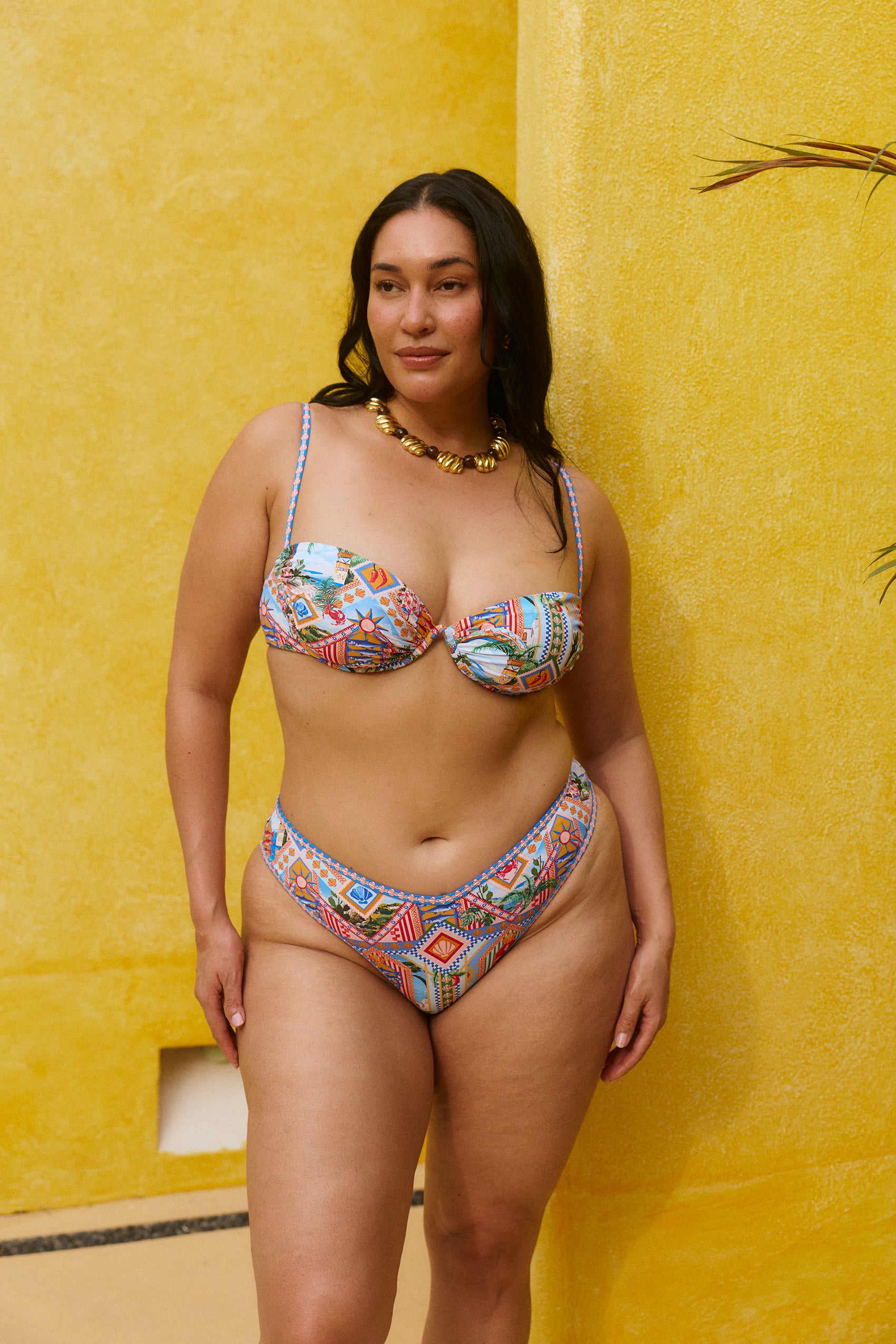 Panama Bottom in Zocalo